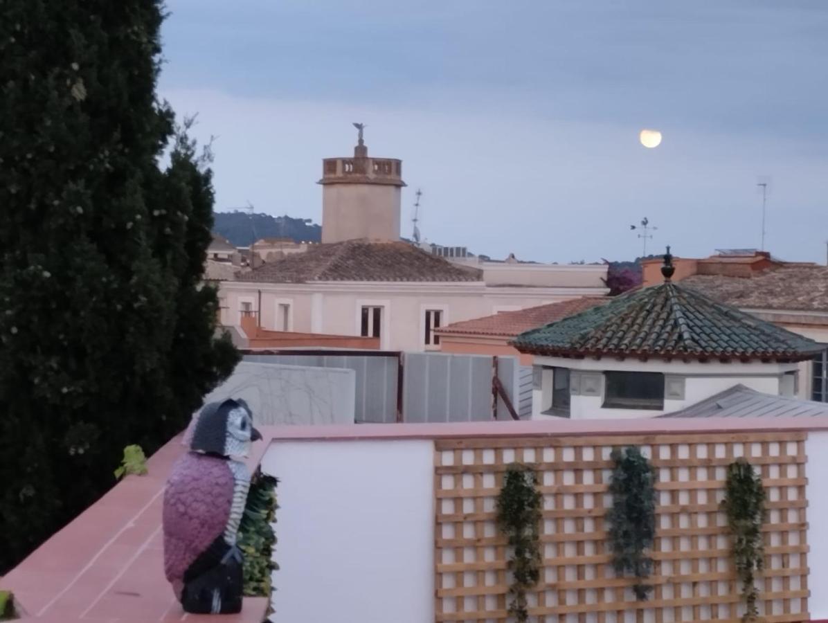 Apartaments L'Arc Palafrugell Exteriér fotografie
